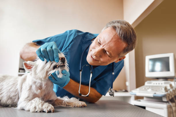 Best Pediatric Emergency Dentist in Kempner, TX